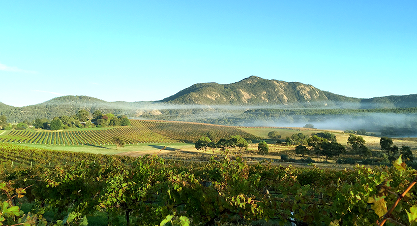 Mount Langi Ghiran Vineyard